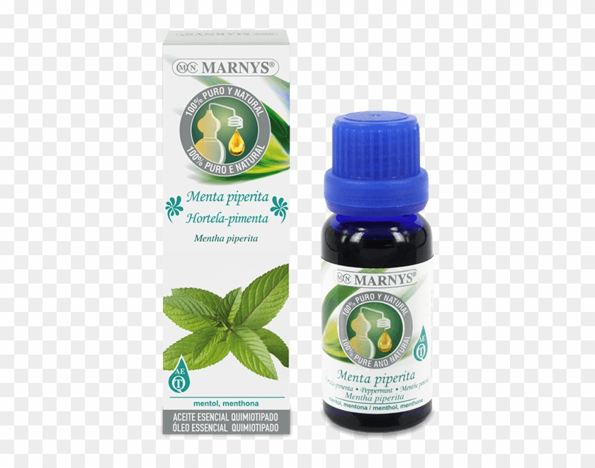 Peppermint Essential Oil - Aceite De Anis Estrellado Para Las Arrugas Clipart