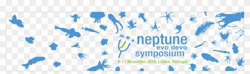 Nneptune Siluete Banner 5 Extra1 Clipart