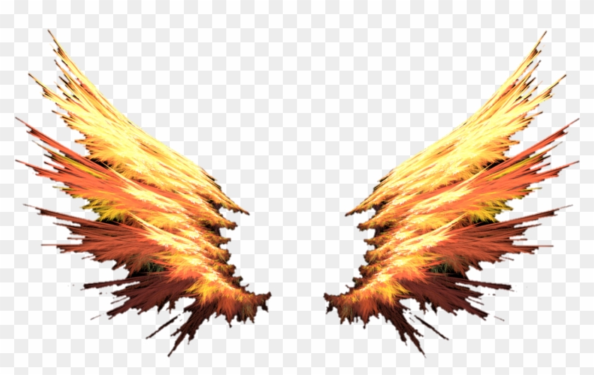 Flame Wings Png - Fire Wings Transparent Background Clipart #170407