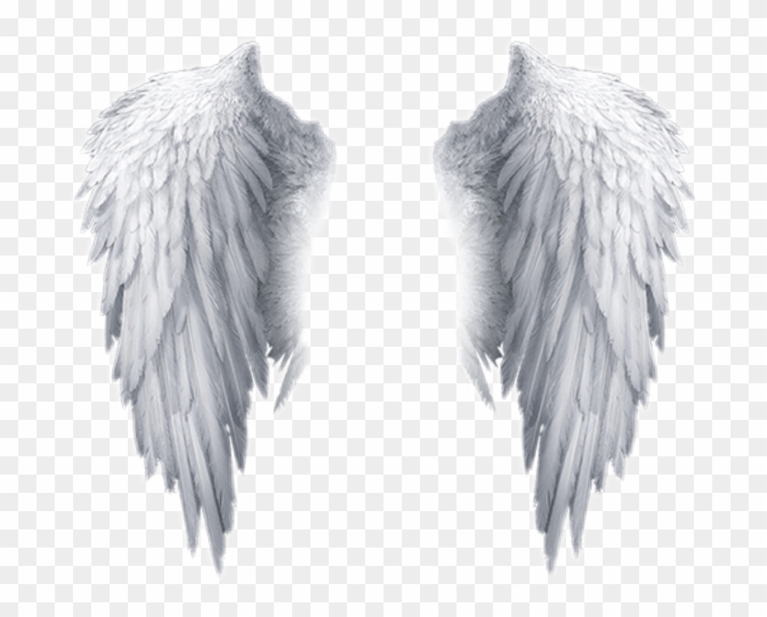 Popular And Trending Feather Stickers On Picsart - Transparent Background Angel Wings Png Clipart #173868