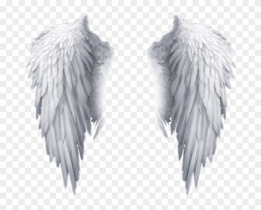 Popular And Trending Feather Stickers On Picsart - Transparent Background Angel Wings Png Clipart