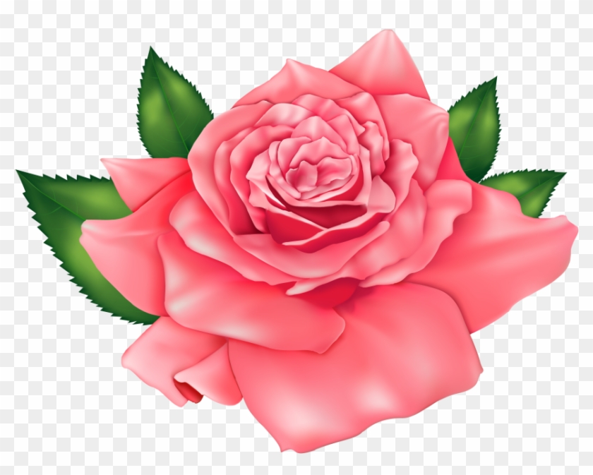 Flores Rosa Vermelha 3 Png - Flores Rosas Para Imprimir Clipart