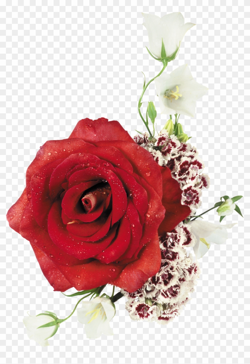 Ramos De Rosas En Png - Feliz Cumpleanos Quotes Clipart
