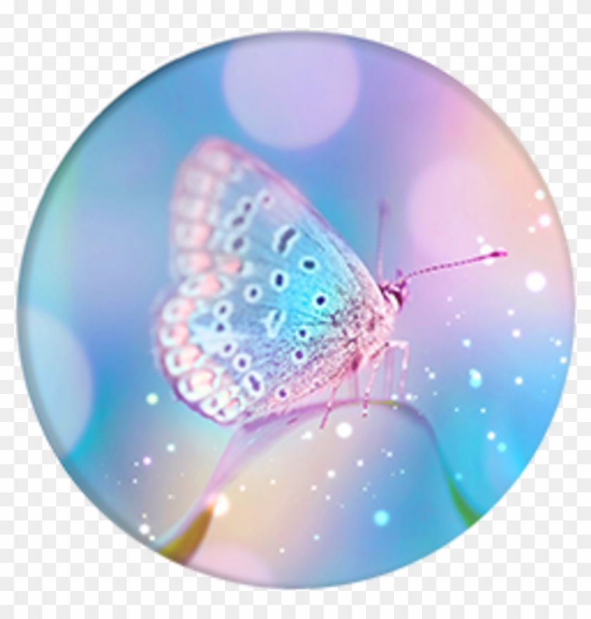 Grip - Pixie Dust - Blue Real Nature Butterfly Clipart #175524