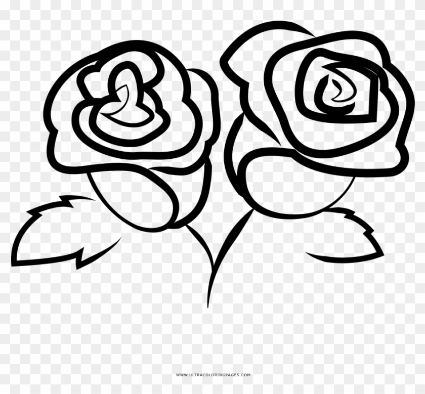Rosas Página Para Colorear - De Rosas Em Desenho Clipart