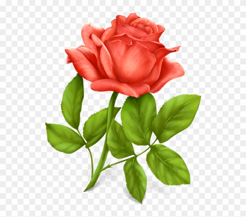Beautiful Rose Clip Art - Flower Png Download Transparent Png #176042