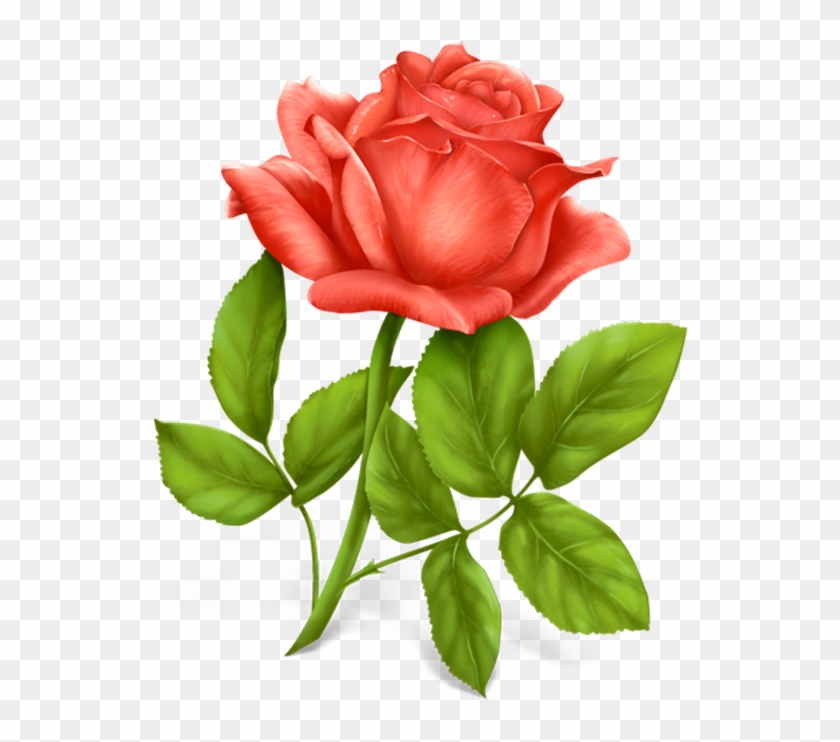 Beautiful Rose Clip Art - Flower Png Download Transparent Png