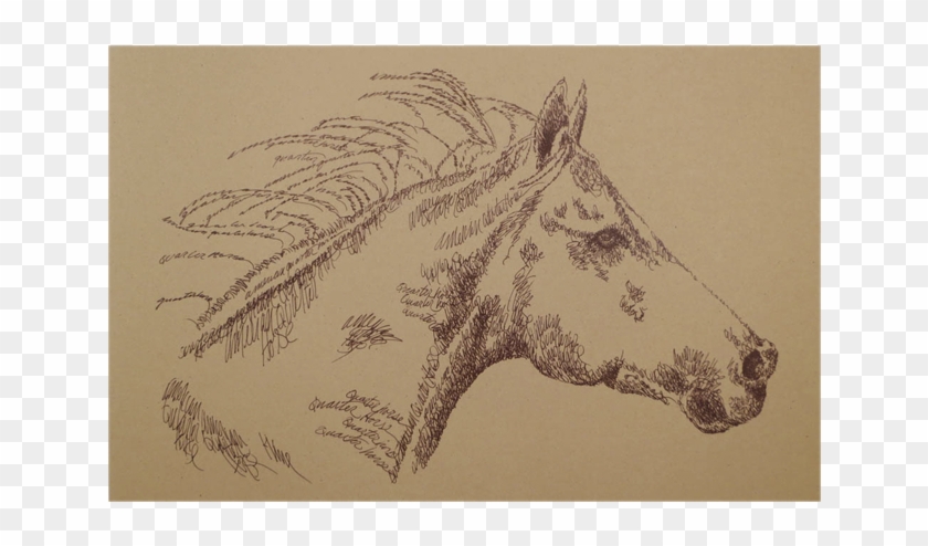 Portrait By Stephen Kline - Mane Clipart