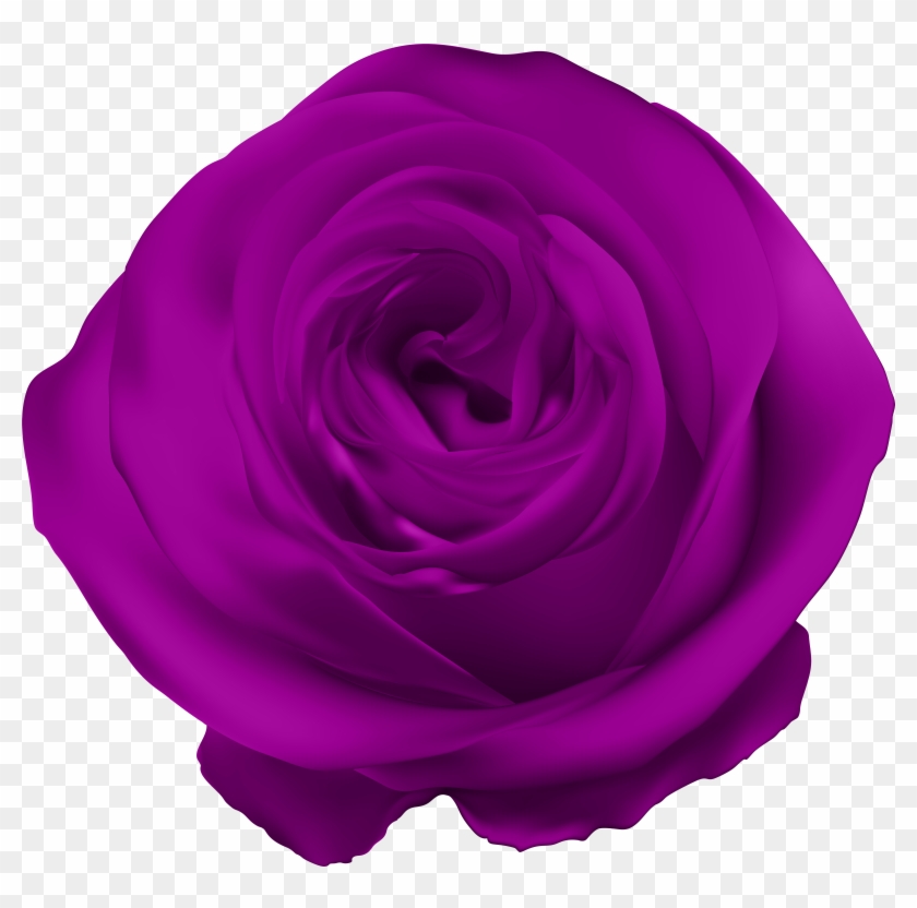 Purple Rose Png Clipart #176683