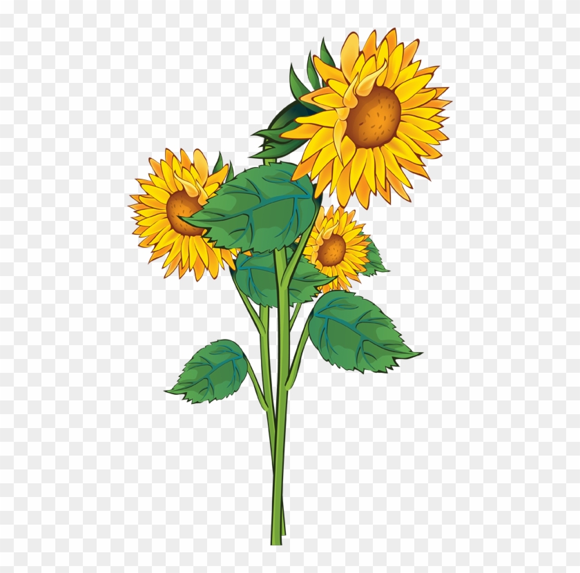 Sunflower Clip Art Free Printable - Sun Flowers Clip Art - Png Download  (#177346) - PikPng