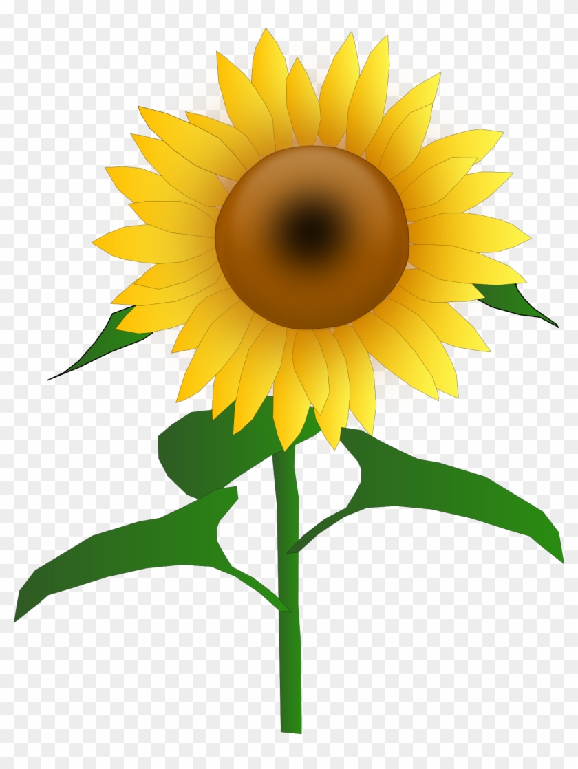 Sunflower Free To Use Png - Sunflower Vector Clipart #177368
