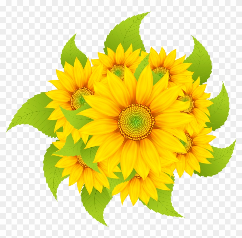 Sunflowers Decoration Clipart Png Image - Sunflower Transparent Png #177463