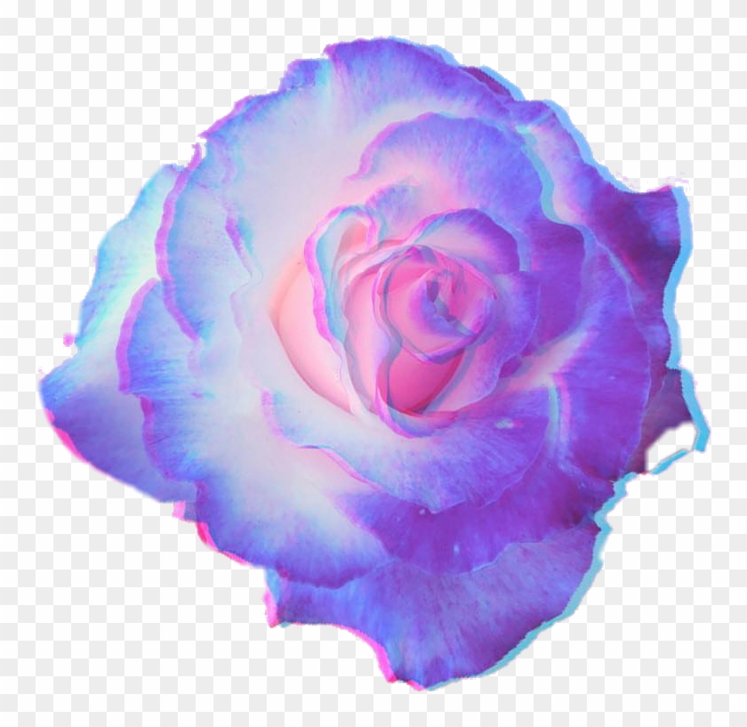 760 X 737 5 - Pastel Purple Flower Png Clipart #177546