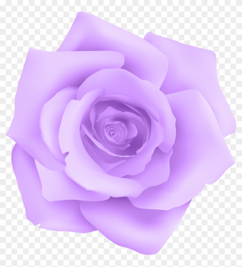 Purple Rose Transparent Clip Art Gallery Yopriceville - Png Download #177619