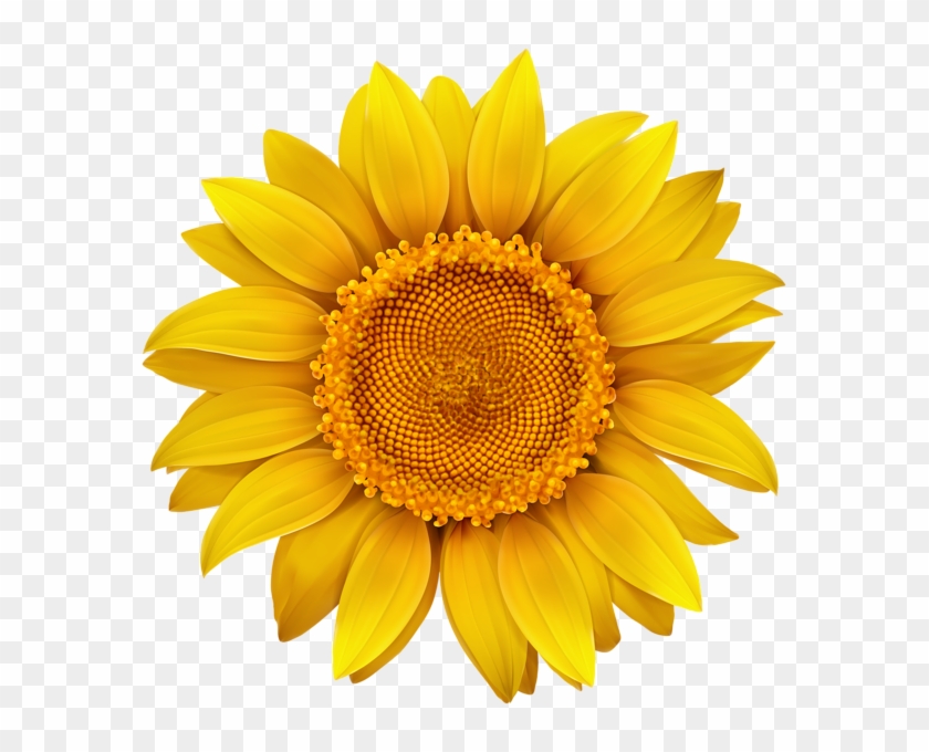 Sunflower Png Image Flower Designes Pinterest - Am Happy When You Are Happy Clipart #177884