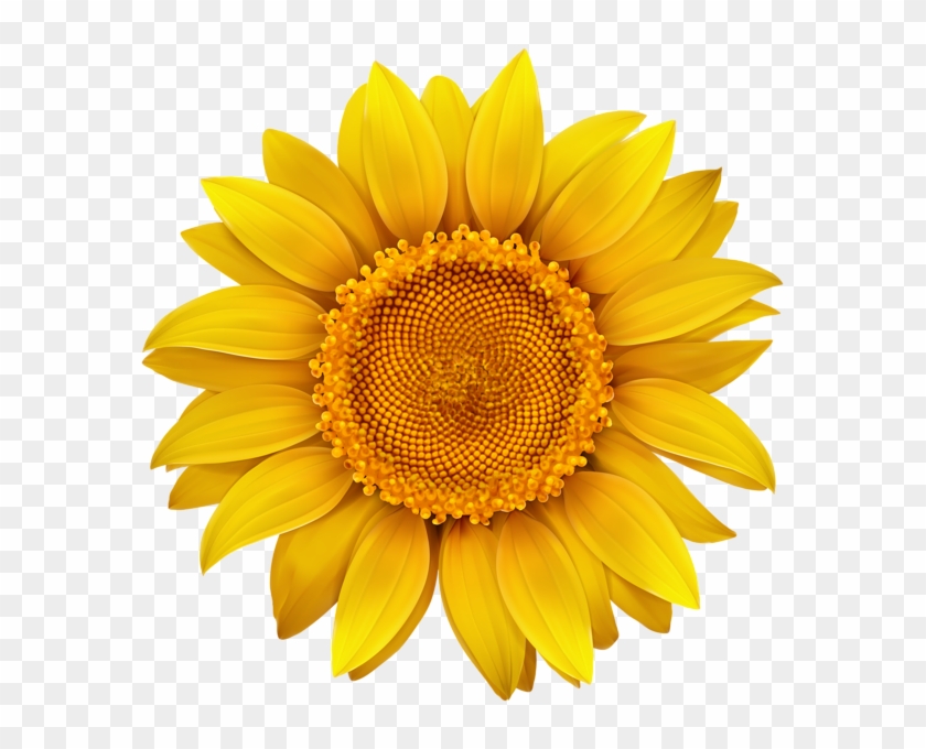 Sunflower Png Image Flower Designes Pinterest - Am Happy When You Are Happy Clipart