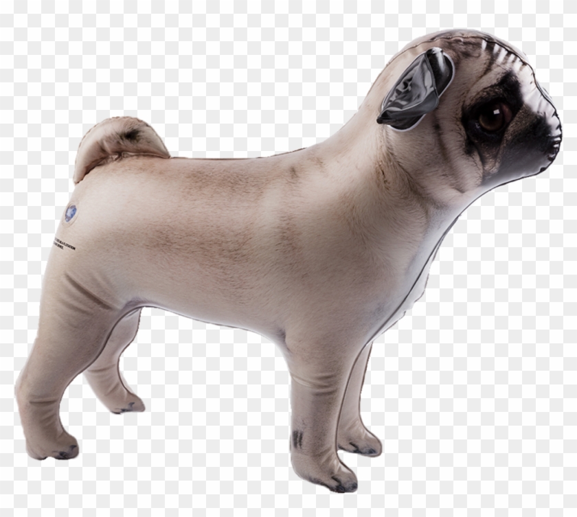 Inflatable Pet Dci Gift Side View - Pug Clipart #178504