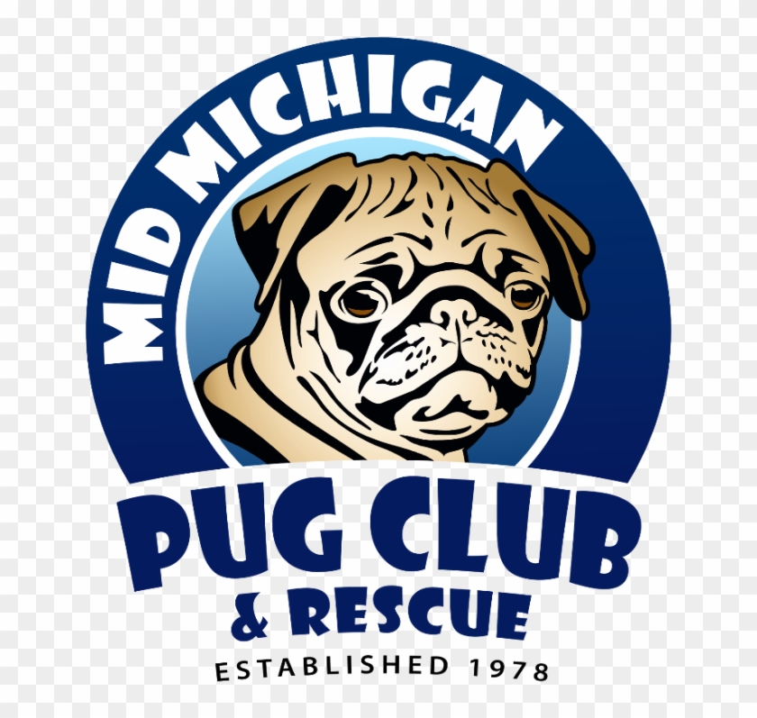 Pug Club , Png Download - Pug Club Clipart #178525