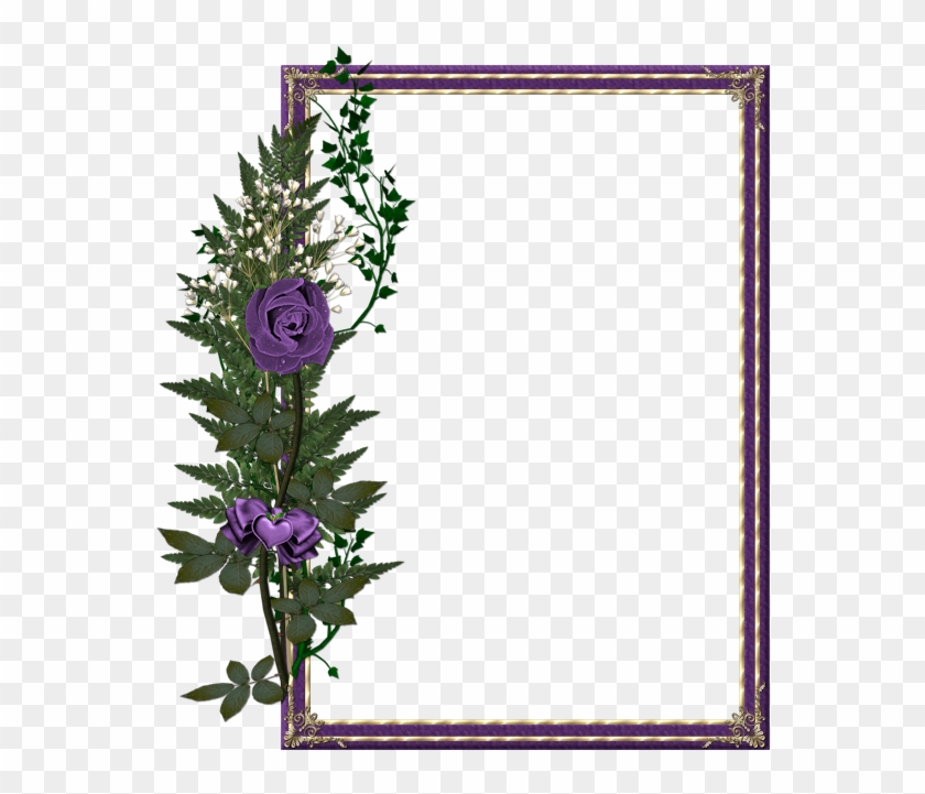 New Beautiful Photo Frames Clipart #178571