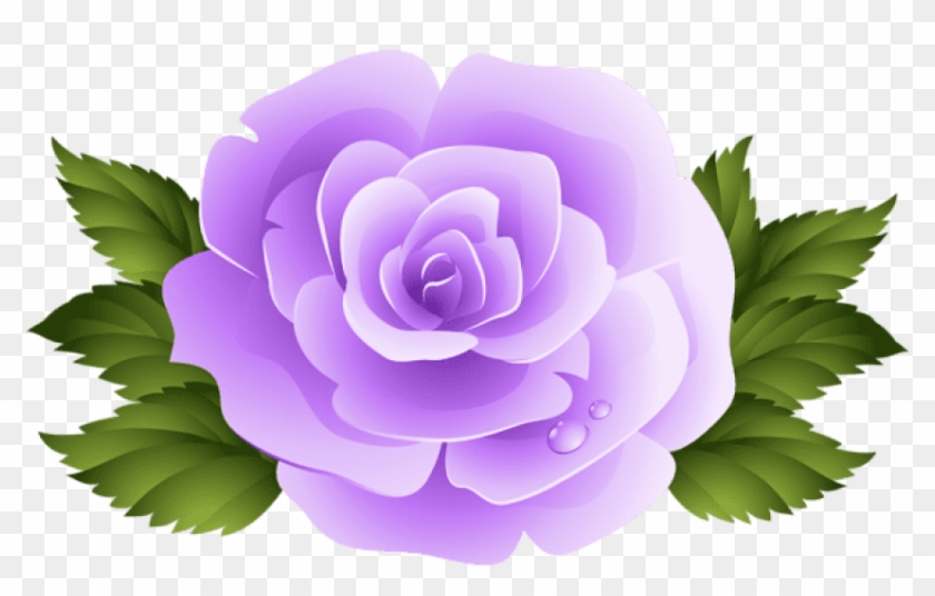 Free Png Download Purple Rose Png Images Background Clipart #178599