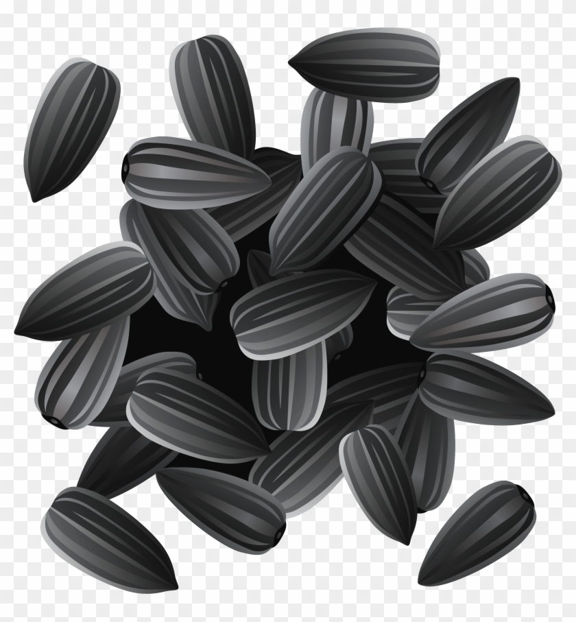 Sunflower Seeds Png Clipart Image Transparent Png
