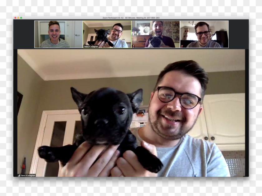 Dave Pug - Companion Dog Clipart #179090