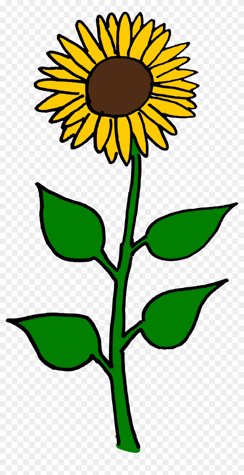 3961 X 7520 14 - Giant Sunflower Clip Art - Png Download #179259