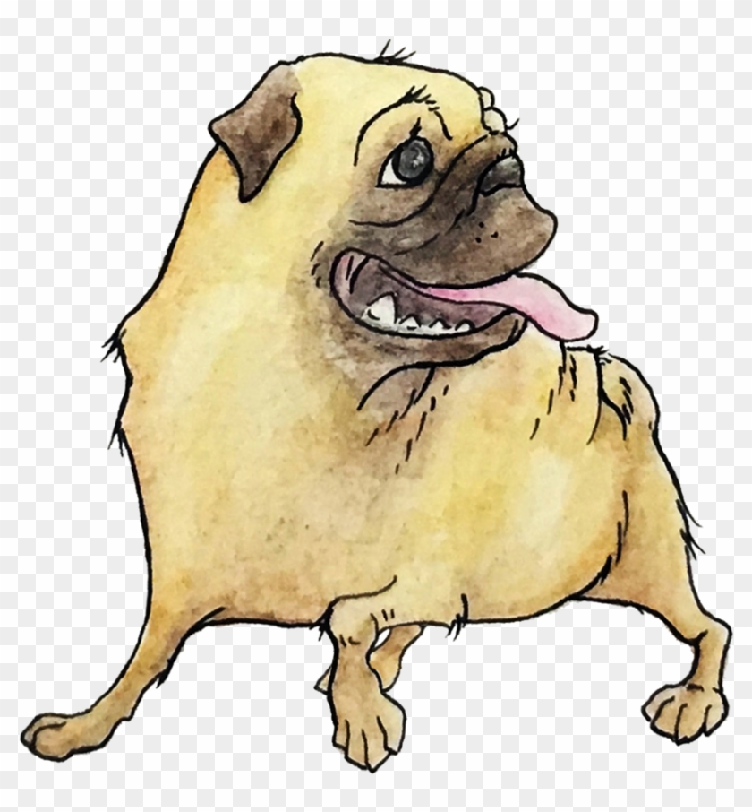 Pug Clipart