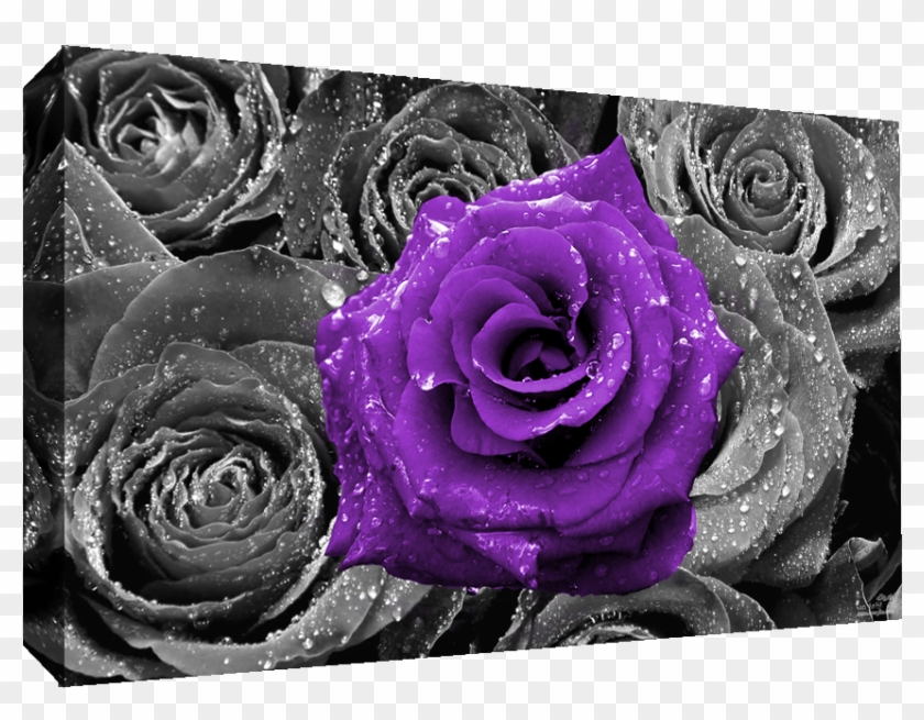 Details About Floral Purple Rose On Bed Of Roses Abstract - Красные Розы Clipart #179375