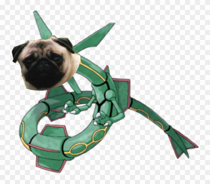 As A Pug , - Dragon Pokemon Clipart