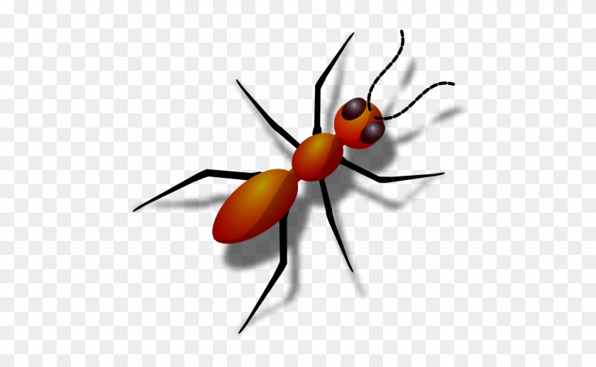 Ant Png Clip Arts Transparent Png