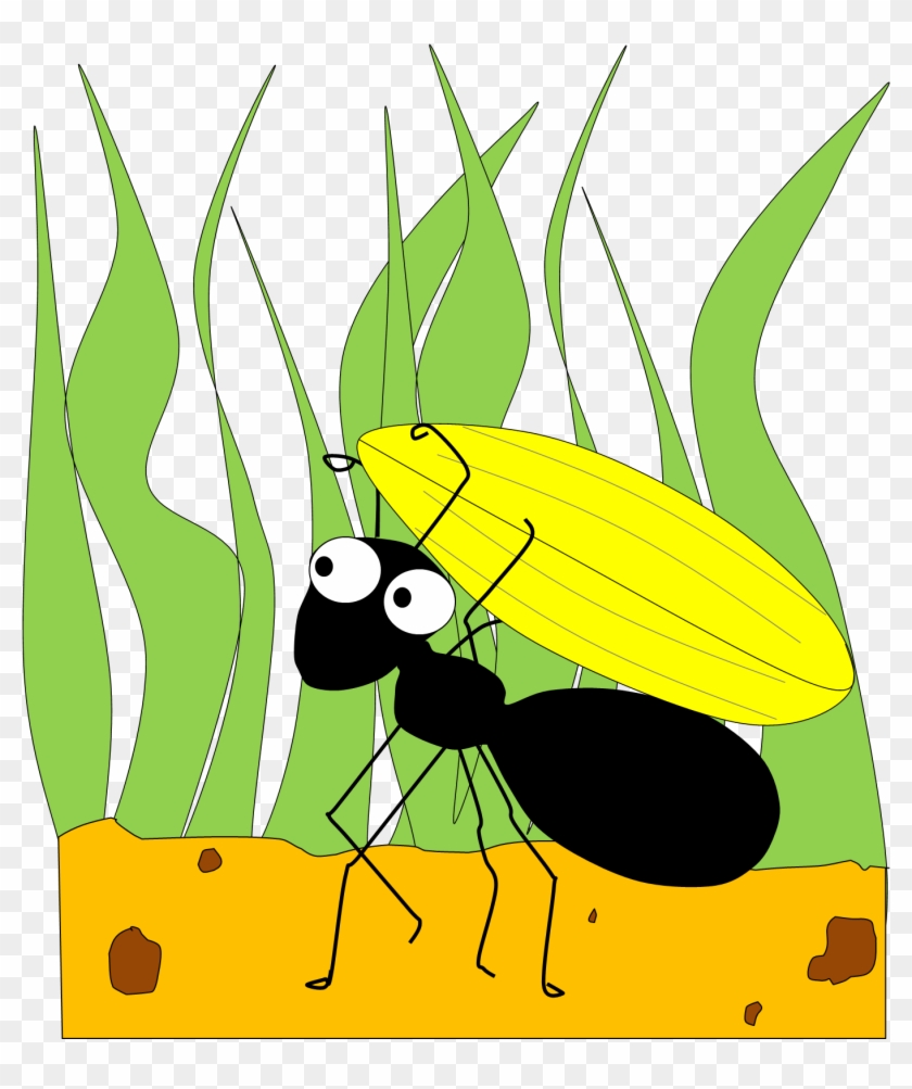 Ant The Png Image Clipart - Grasshopper And The Ant Clipart Transparent Png #179787