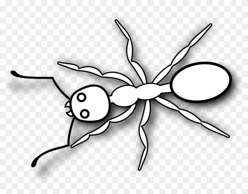 White Ant Png - Clip Art Black And White Ant Transparent Png
