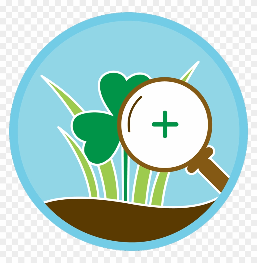 Profile Provides On-site Consultation To Assure The Clipart