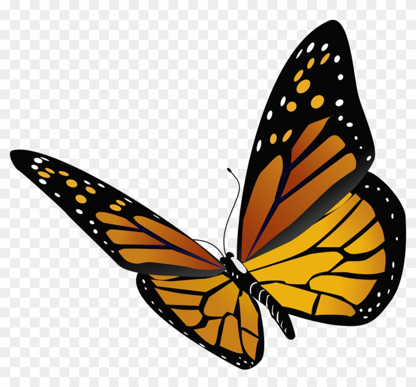 Here S The Next Step For Monarchs - Monarch Butterfly Transparent Background Clipart #1702742