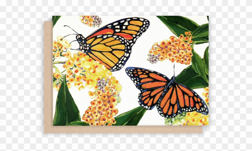 Monarch Butterfly Note Cards With White Background - Monarch Butterfly Clipart #1702819