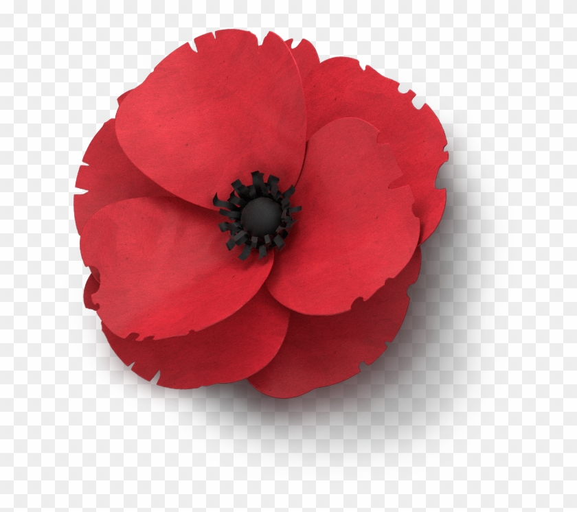 Poppy Flower Memorial Day - Clip Art Remembrance Day Poppy - Png Download