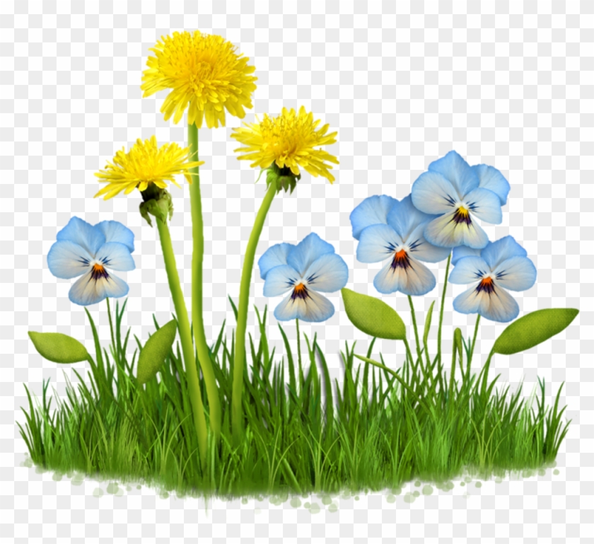 #flower #garden #plant #nature #grass #field #lawn - Fleur Des Champs Png Clipart #1704828