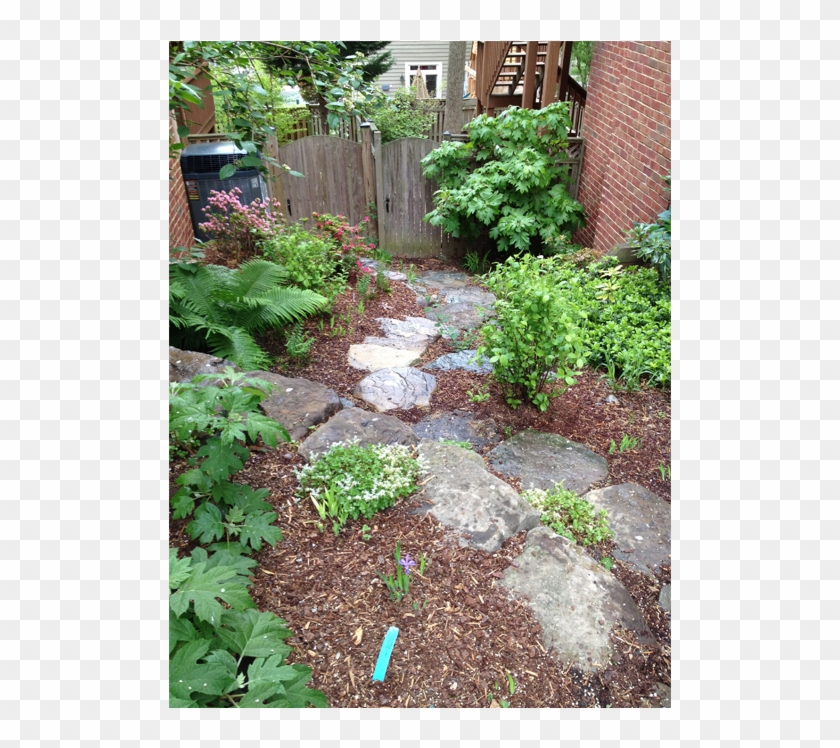 G1 5 - Backyard Clipart #1704910