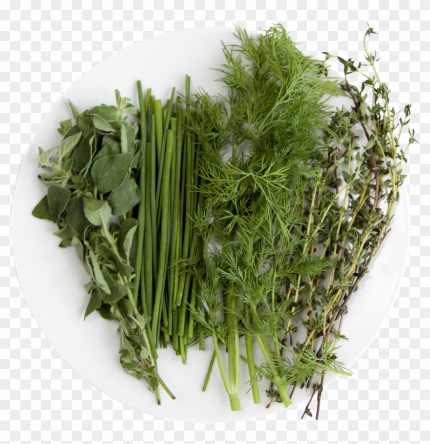 Chef - Grass Clipart #1704959