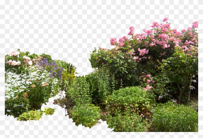 Share This Image - Garden Psd Clipart