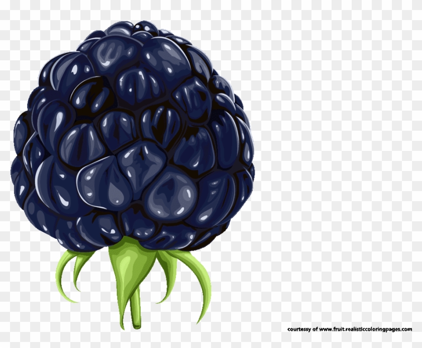 Free 7 Awesome Blackberry Fruit Clipart - Black Berry Fruits Png Transparent Png #1705098