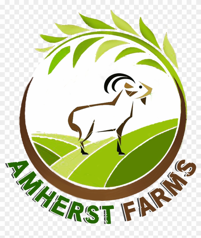 Amherst Farms - Goat Clipart