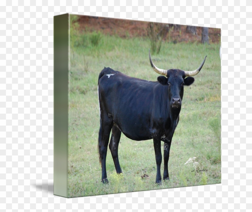 Black Cow By Rd Erickson - Black Cow Clipart