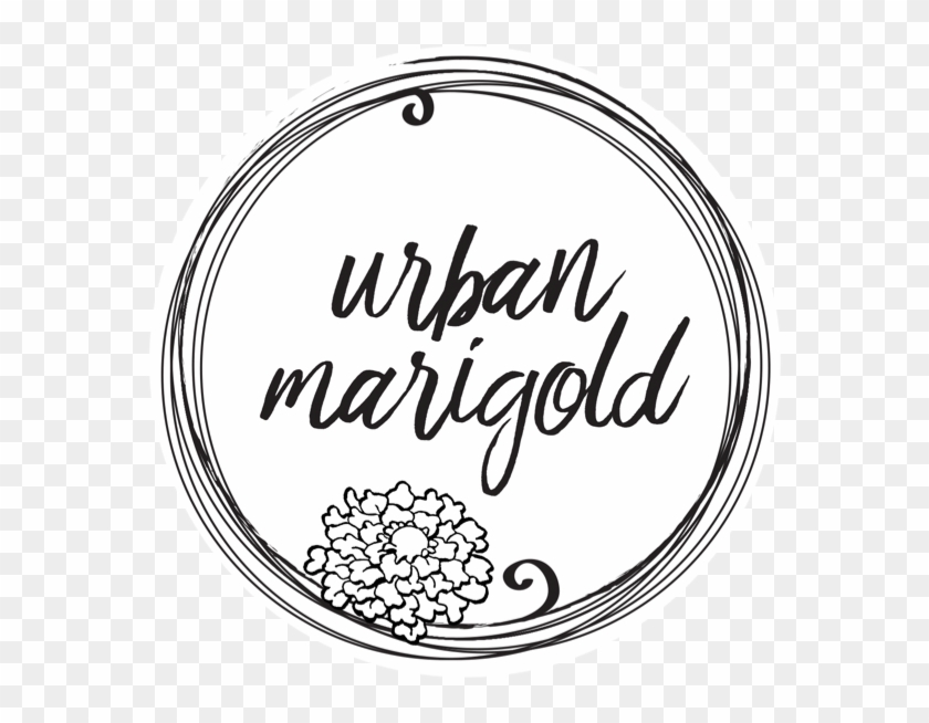 Marigold Png Clipart #1705665