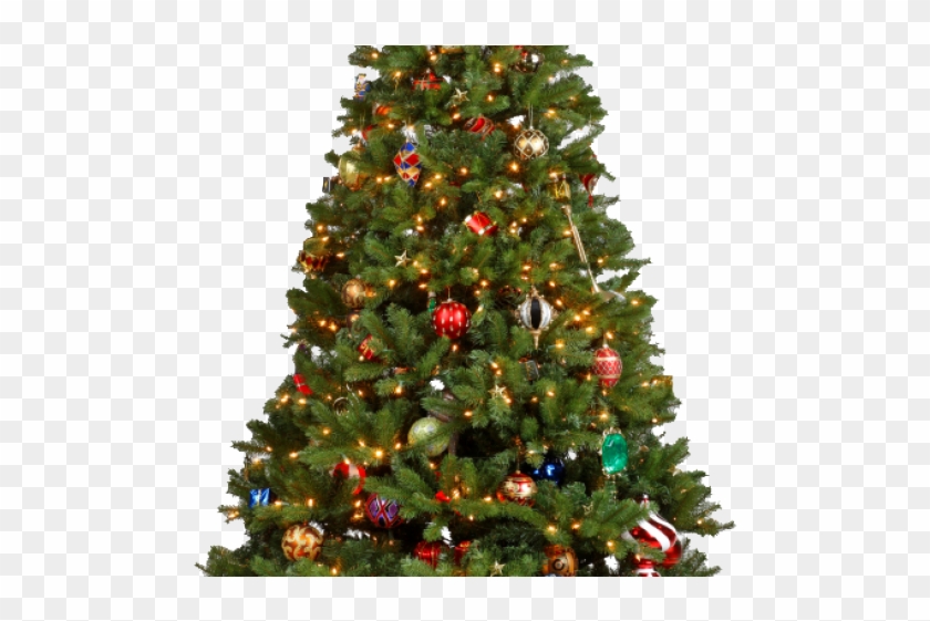 Tree Transparent Background - Christmas Tree With Skirt Clipart
