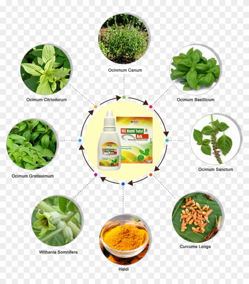 To Be Taken Under Medical Supervision - Dish Clipart #1706274