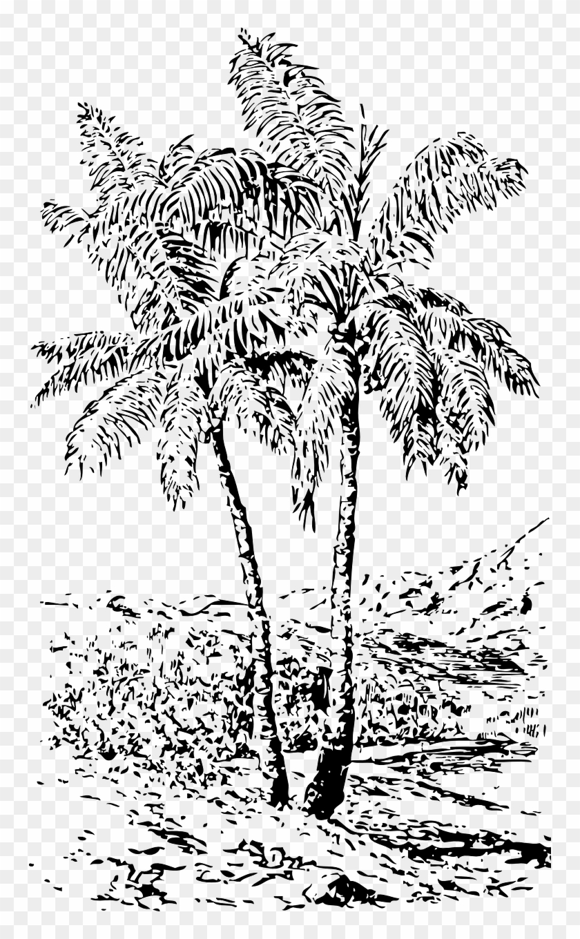 Trees,black And White,landscape - Pohon Sagu Hitam Putih Clipart #1706393
