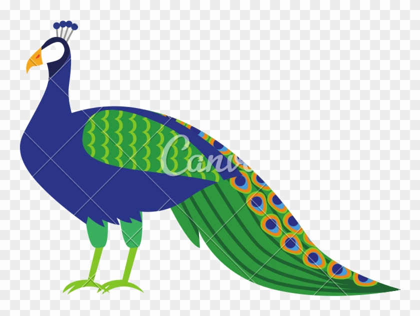 Isolated Icons By Canva - Peafowl Clipart