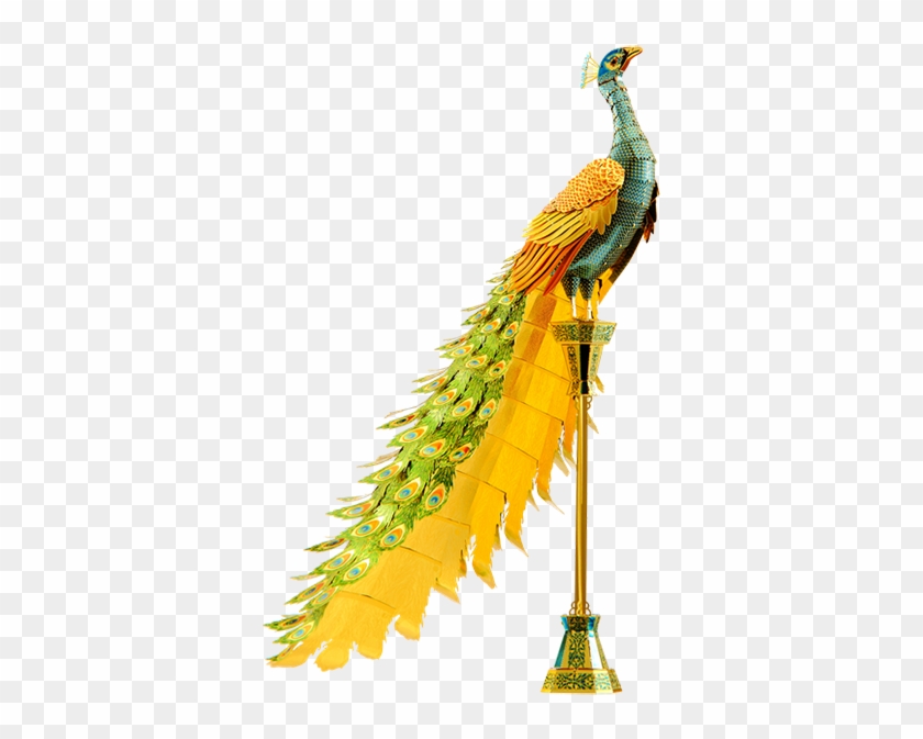 Previous - Next - Metal Earth Peacock Clipart #1707156